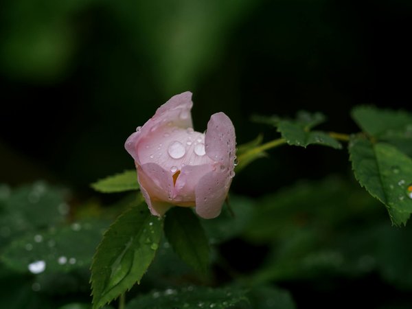 Come trasformare una camera da letto piccola in un angolo di stile senza compromessi