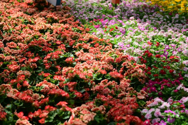 Idee Innovative per Lavori Fai da Te