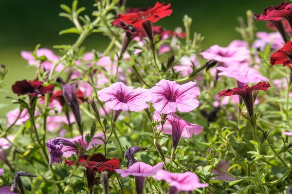 Stili e Idee per un Futuro Confortevole